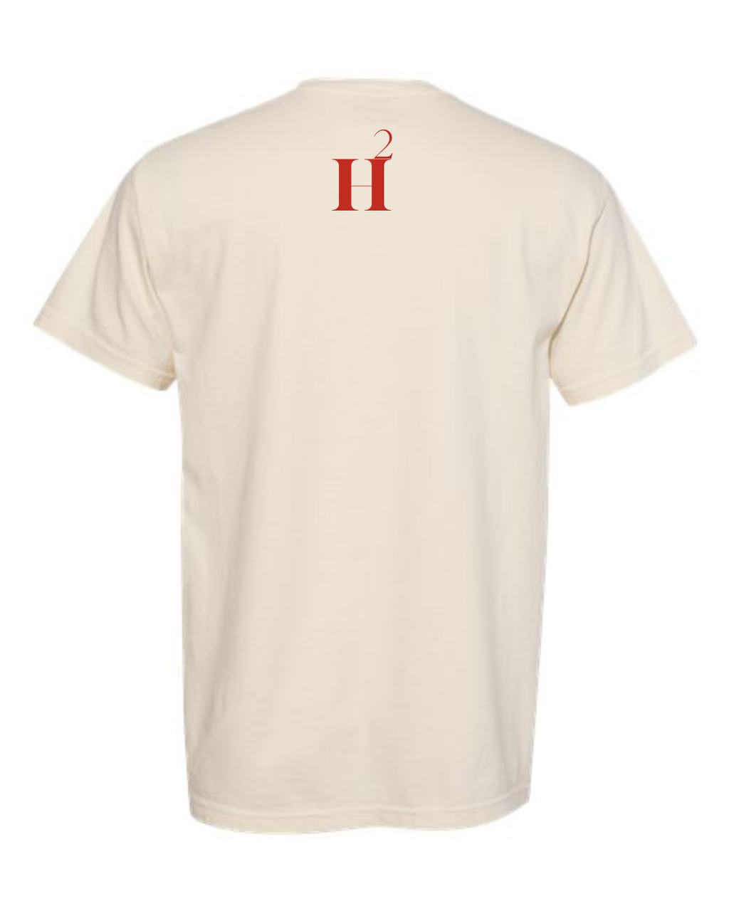 Cowboy USA Flag T
